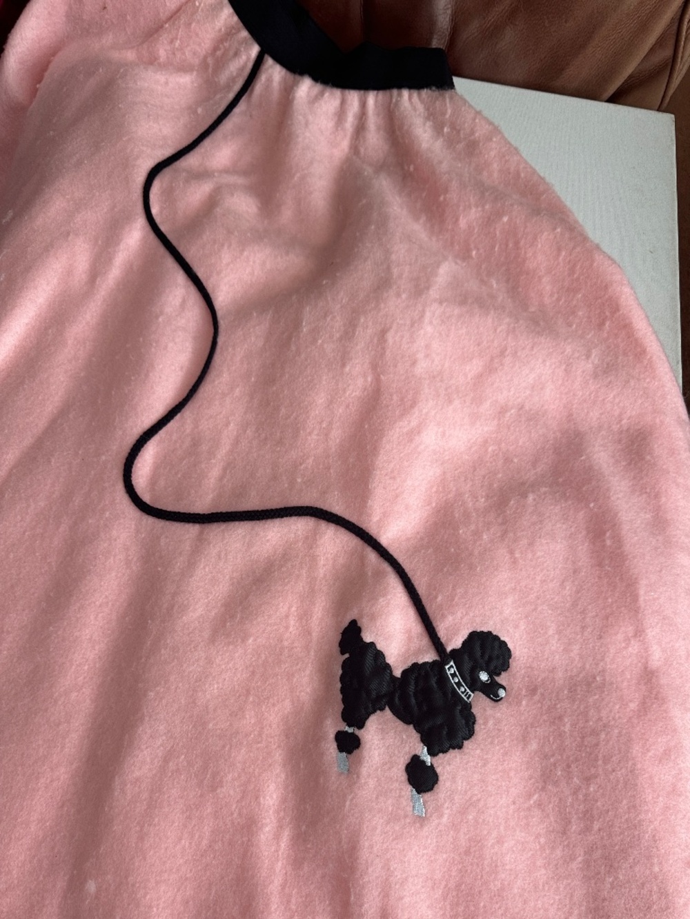 Storybook Poodle Skirt with Stripped knit top